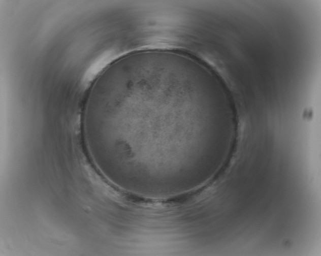 X0000112461459200908171151