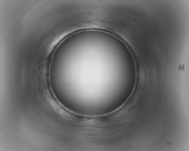 X0000112461460200908171151