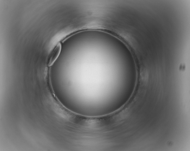 X0000112461461200908171151