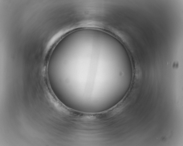 X0000112461462200908171151