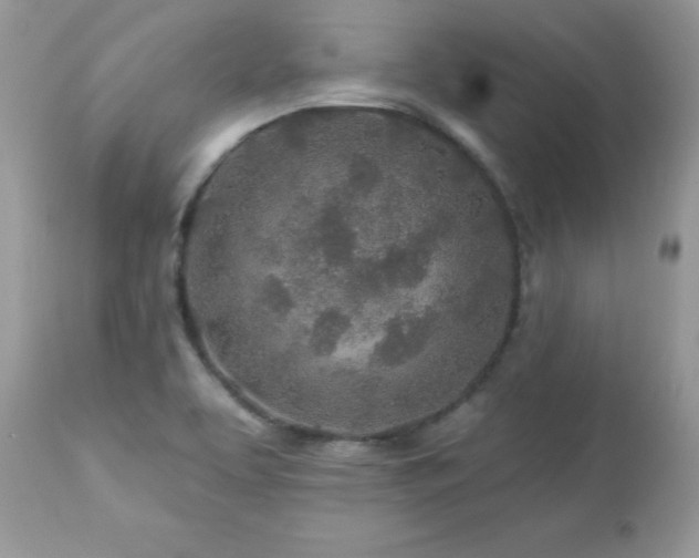 X0000112461463200908171151