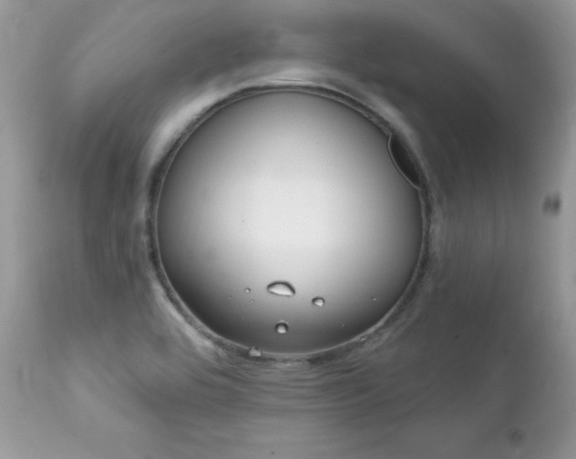 X0000112461464200908171151