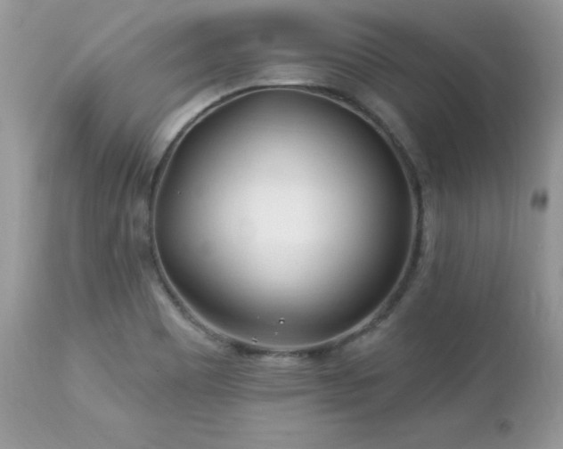 X0000112461465200908171151