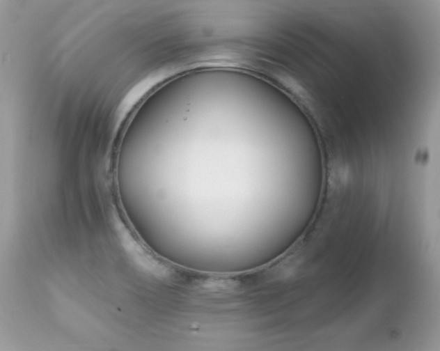 X0000112461466200908171151