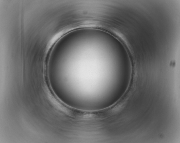 X0000112461467200908171151