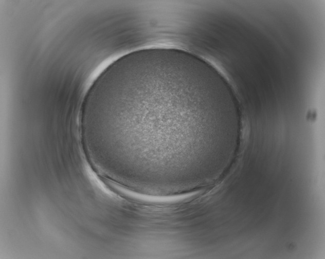 X0000112461468200908171151