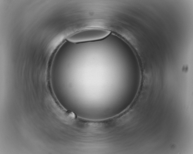 X0000112461469200908171151