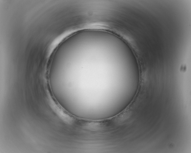 X0000112461470200908171151