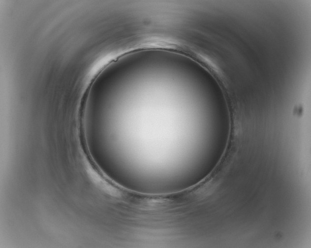 X0000112461471200908171151