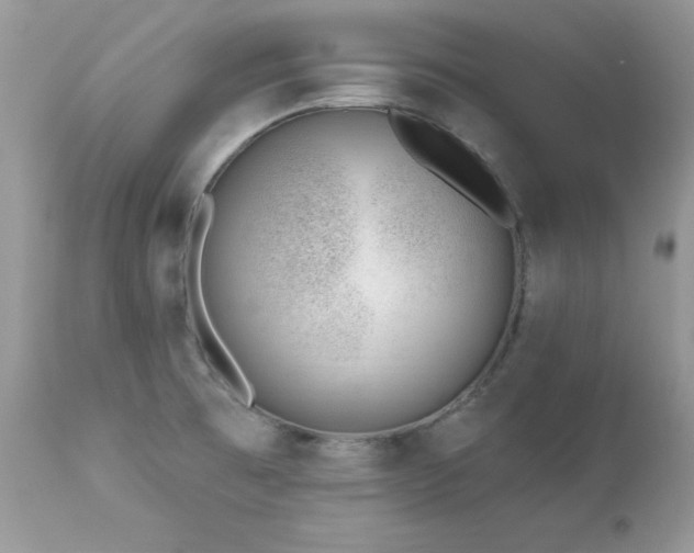 X0000112461473200908171151