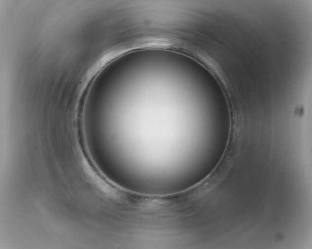 X0000112461475200908171150