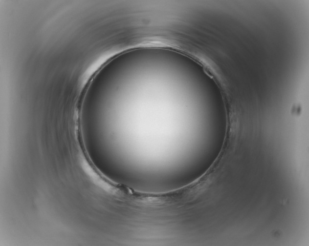 X0000112461476200908171150