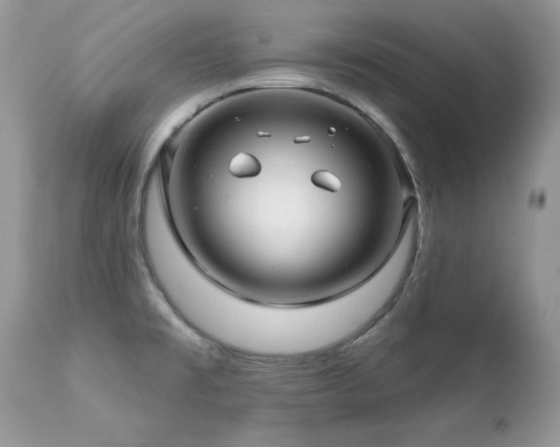 X0000112461477200908171150
