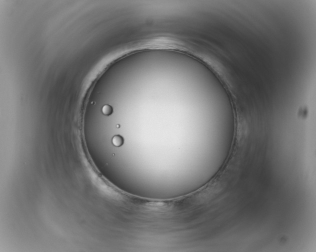X0000112461478200908171150