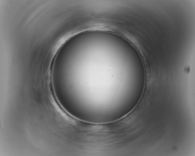 X0000112461479200908171150