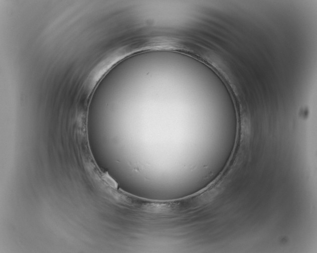 X0000112461481200908171150