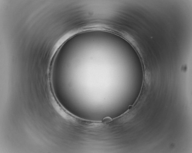 X0000112461482200908171150