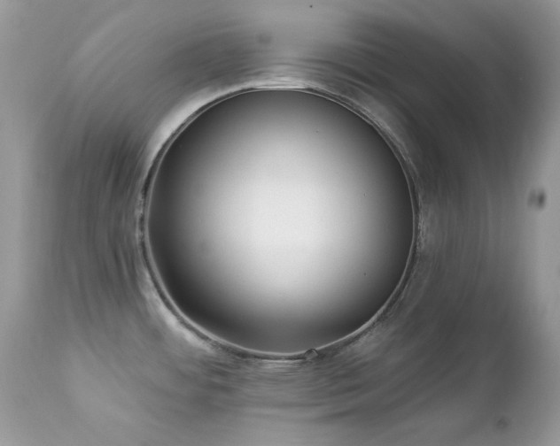 X0000112461484200908171150