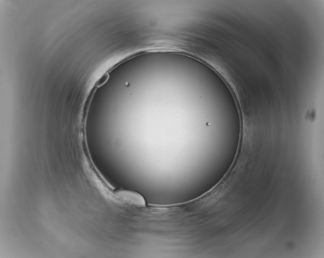 X0000112461485200908171150