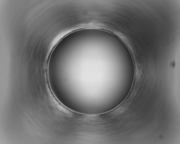 X0000112461486200908171150