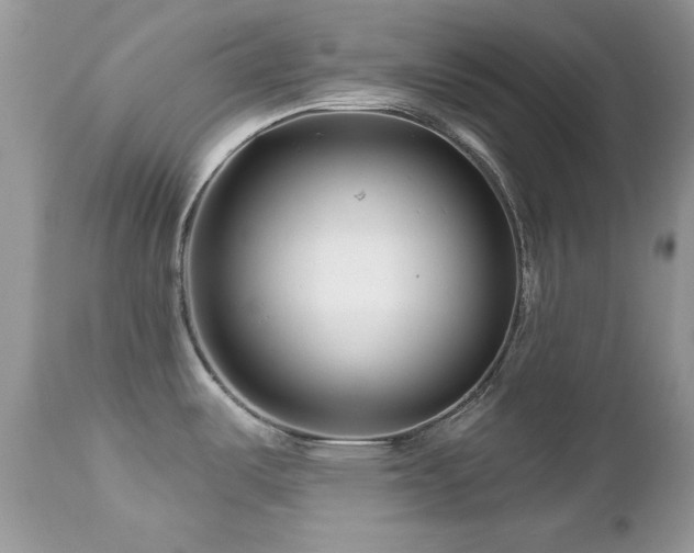 X0000112461487200908171150