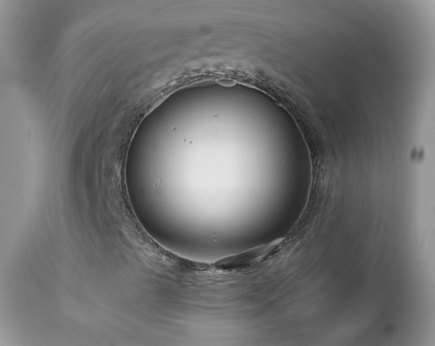 X0000112461489200908171150