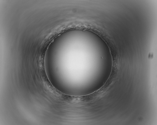 X0000112461490200908171150