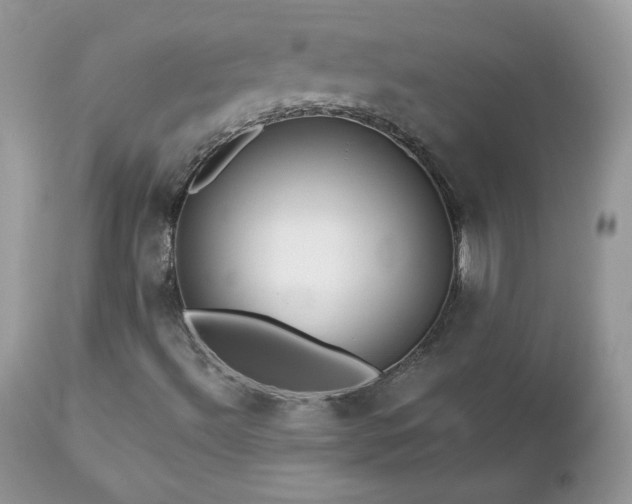X0000112461492200908171150