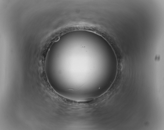X0000112461493200908171150