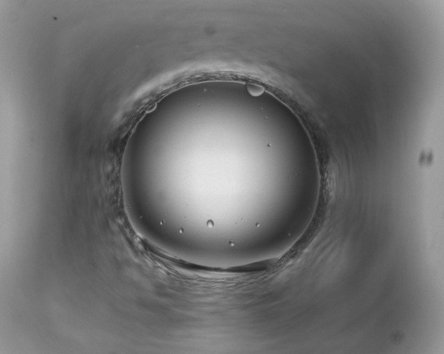 X0000112461494200908171150