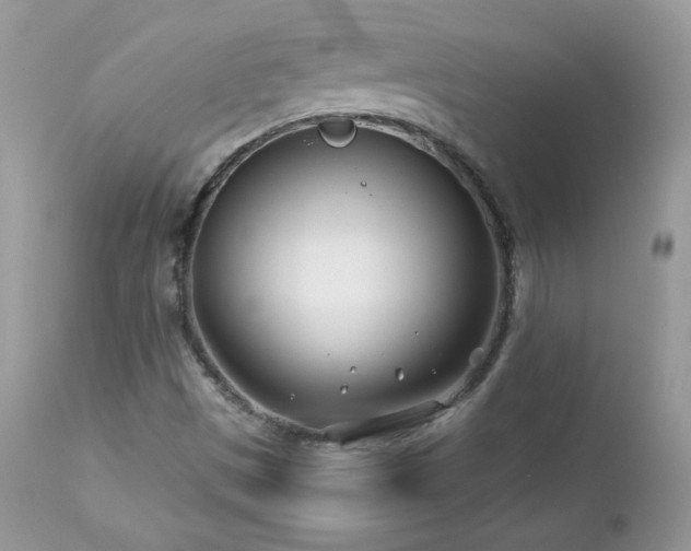 X0000112461497200908171150