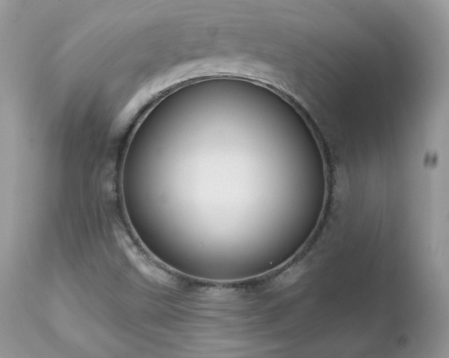 X0000112461499200908171150