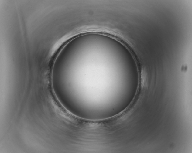 X0000112461501200908171150