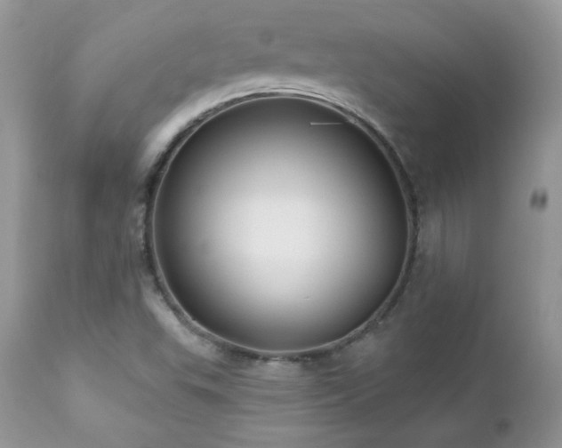 X0000112461503200908171150