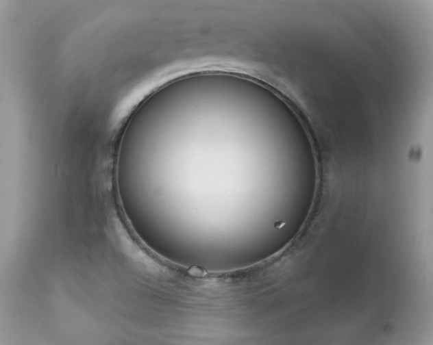 X0000112461504200908171150