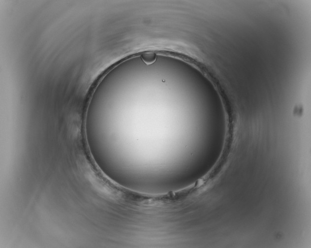 X0000112461505200908171150