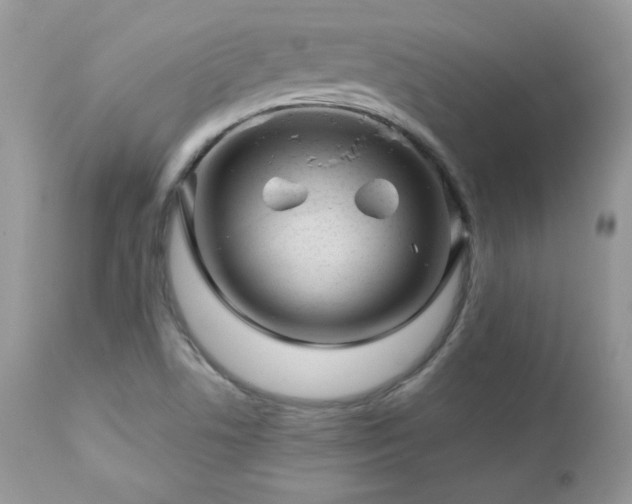 X0000112461506200908171150