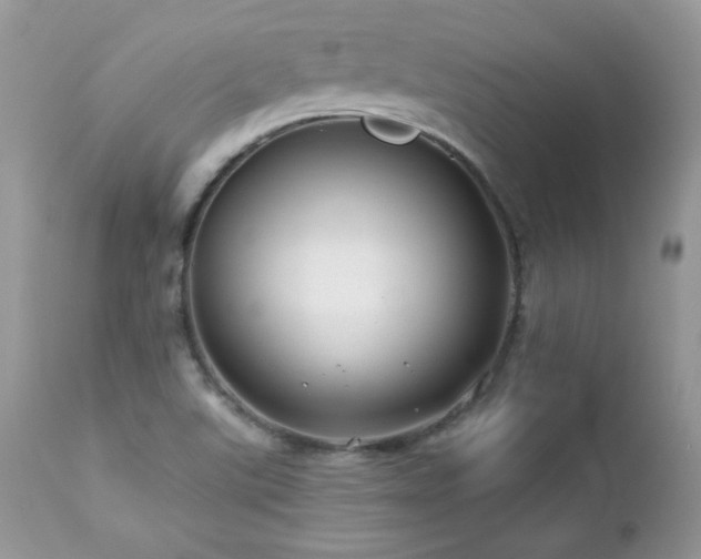 X0000112461507200908171150