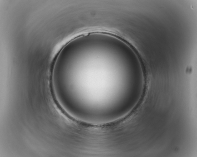 X0000112461508200908171150