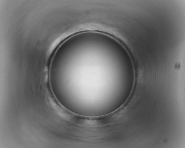 X0000112461509200908171150
