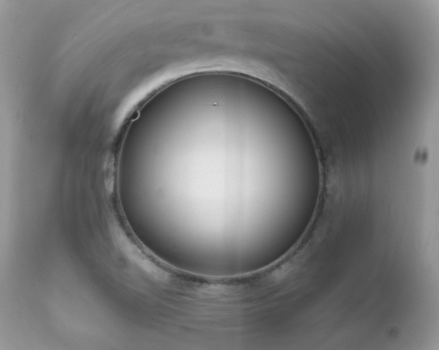 X0000112461510200908171150