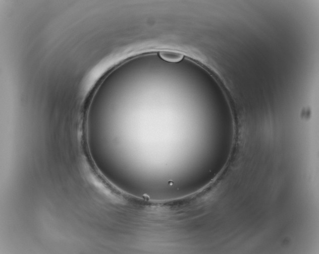 X0000112461511200908171150