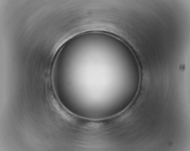 X0000112461513200908171150