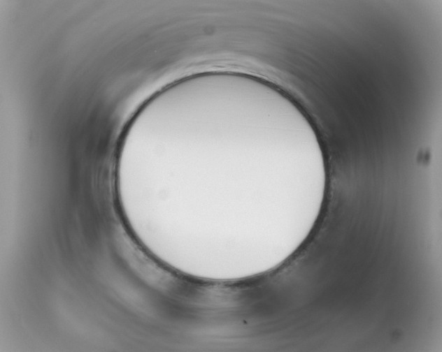 X0000112461514200908171150