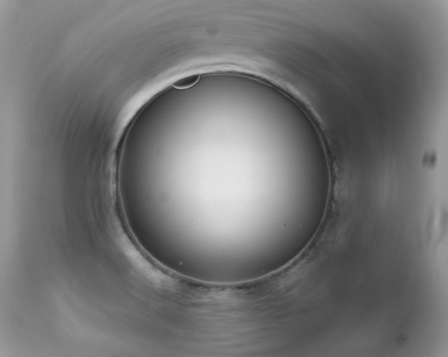 X0000112461516200908171150