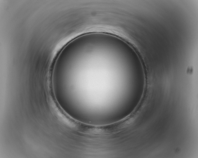 X0000112461517200908171150