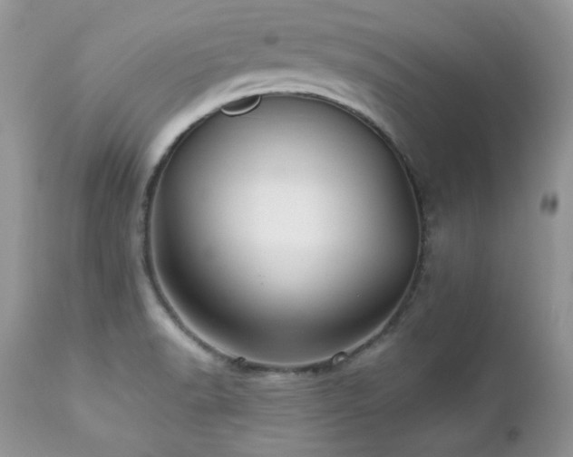 X0000112461518200908171150