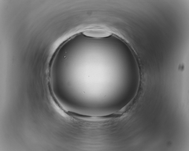 X0000112461519200908171150