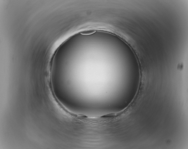 X0000112461520200908171150