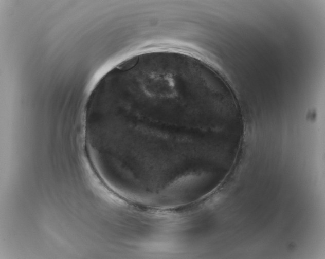 X0000112461522200908171150